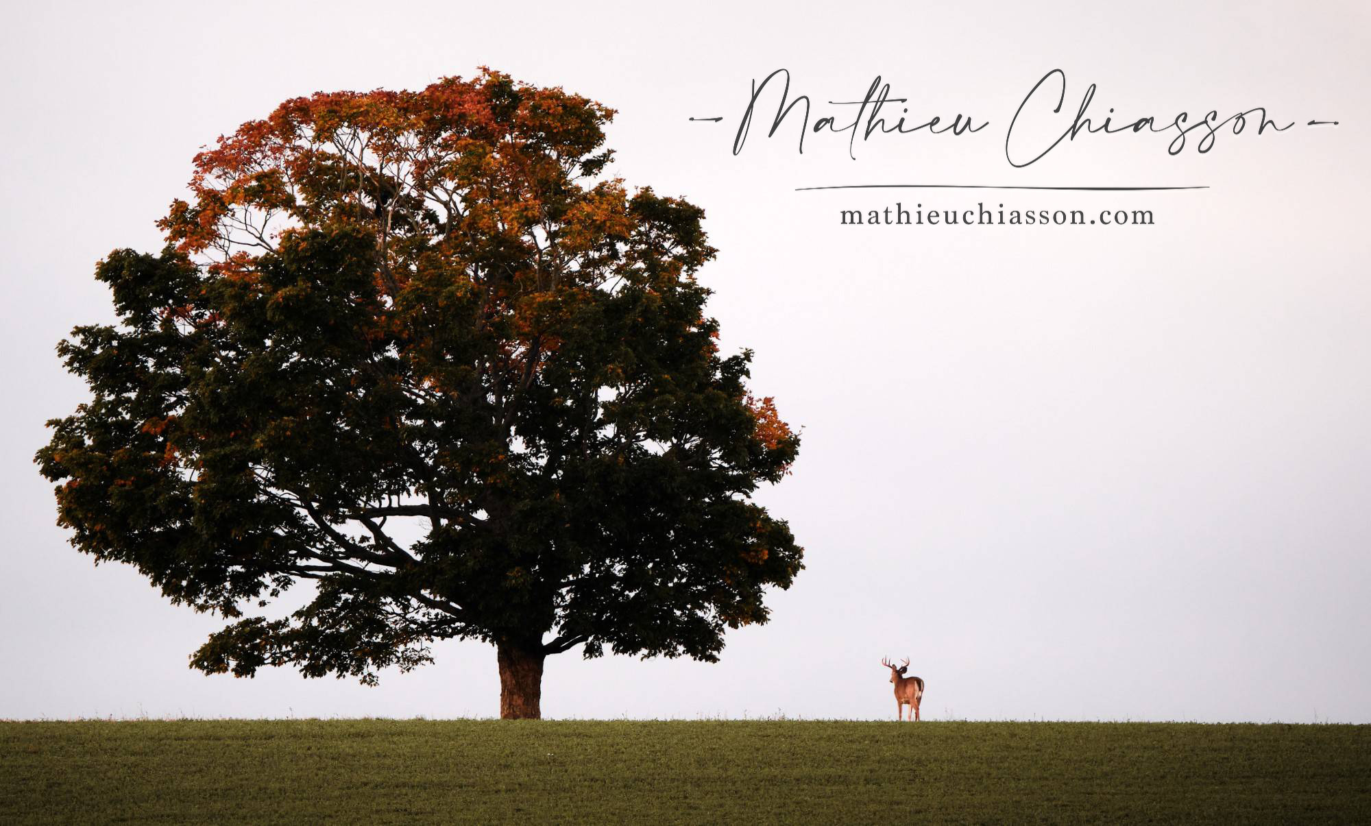 Photo by Mathieu Chiasson